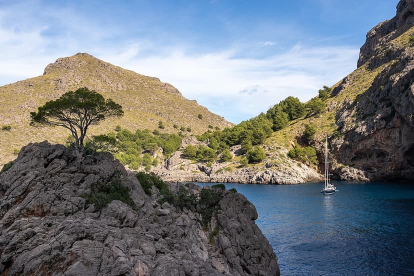 Premium Renovation in Marbella: 5 Trends for 2026